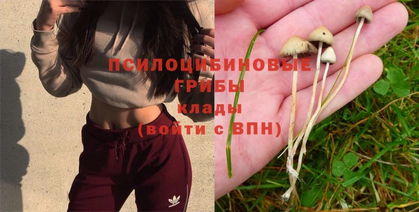 a pvp Надым