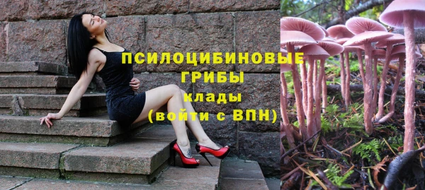 молекула духа Навашино