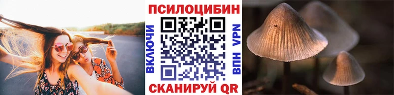 Псилоцибиновые грибы Psilocybine cubensis  Ковров 
