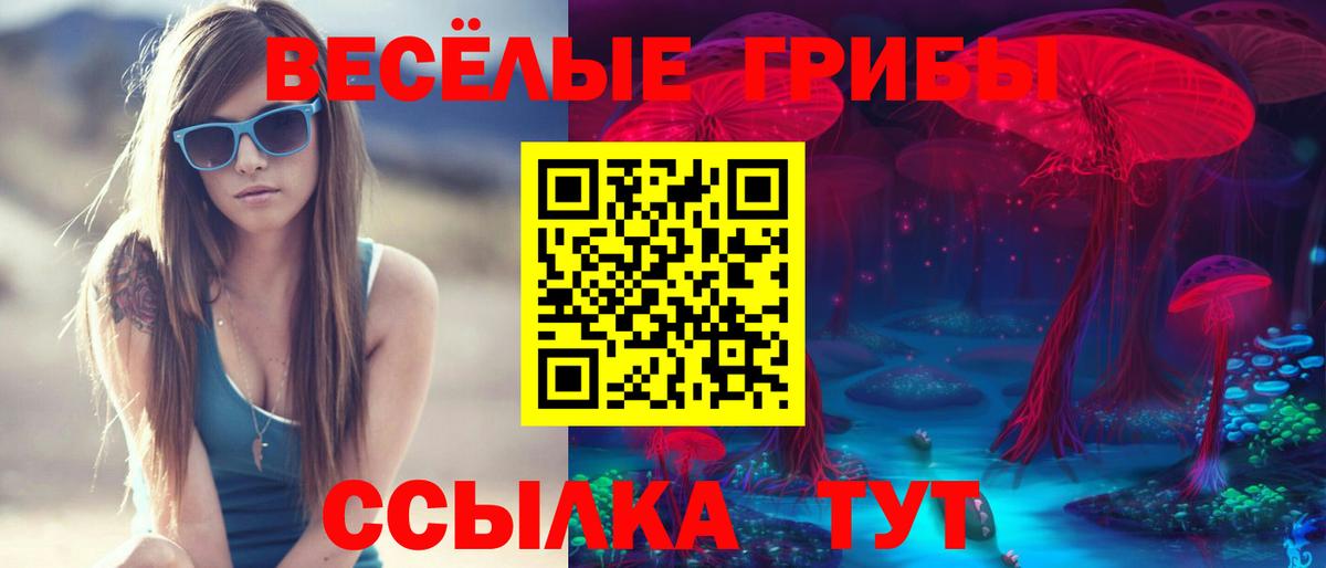 Ковров  Псилоцибиновые грибы мицелий  Вход с VPN  Псилоцибиновые грибы прущие грибы 