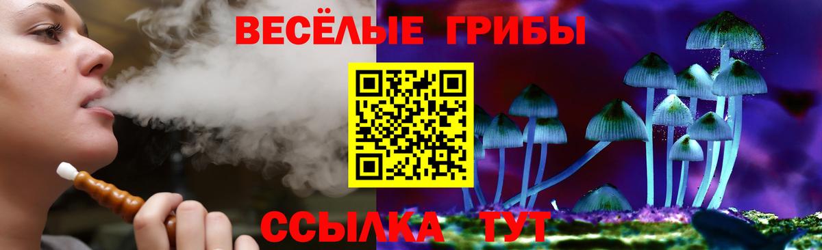 Метадон Ковров